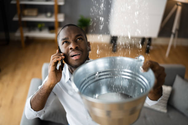  Waipahu, HI Water damage restoration Pros