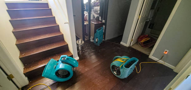 Best Professional water damage repair  in Waipahu, HI