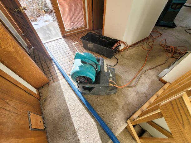 Best Flood damage cleanup  in Waipahu, HI