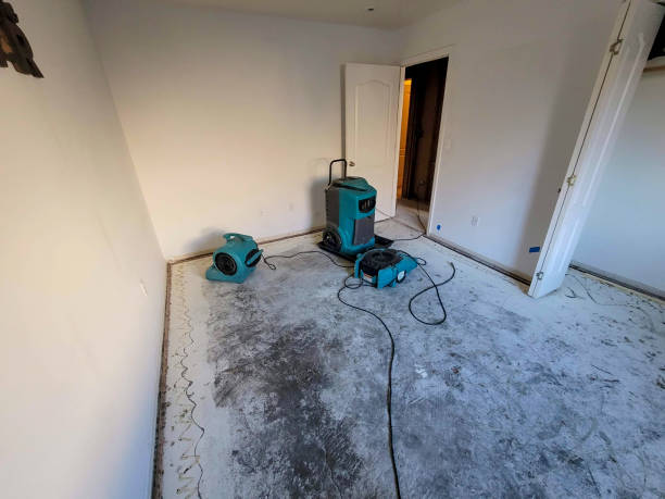 Best Basement water damage restoration  in Waipahu, HI