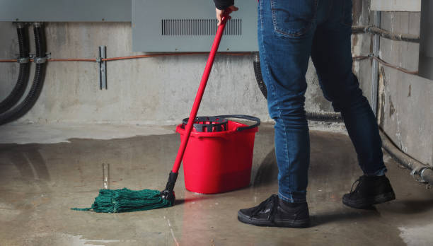 Best Water damage cleanup near me  in Waipahu, HI