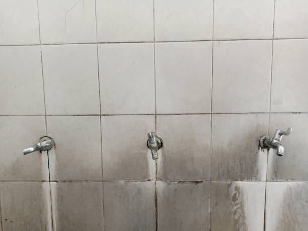 Best 24-hour water damage restoration  in Waipahu, HI