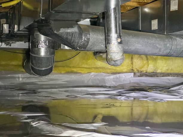 Best 24/7 water damage repair  in Waipahu, HI