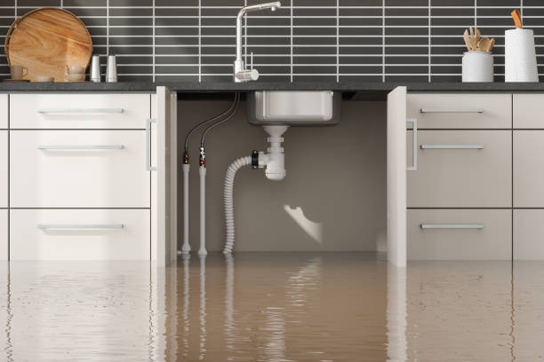 Best Carpet water damage restoration  in Waipahu, HI