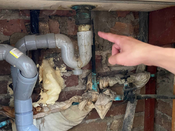 Trusted Waipahu, HI Water damage restoration Experts