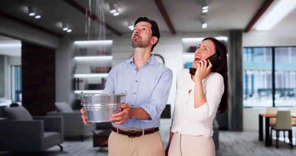 Best Water damage contractors near me  in Waipahu, HI