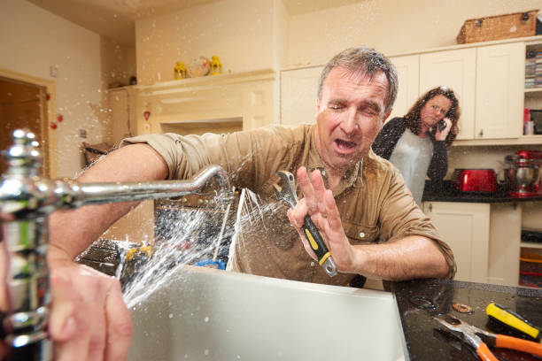 Best Professional water damage repair  in Waipahu, HI